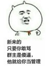 挑衅 谩骂 新来的  只要你敢骂群主是傻逼 他就给你当管