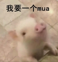 我要一个mua 小猪 站着 可爱