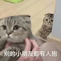 猫咪 可爱 萌宠 羡慕 嫉妒 卖萌