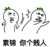 金馆长 萝卜人 大嘴巴 素锦你个贱人