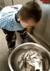 男孩 观看 鱼儿 尿尿