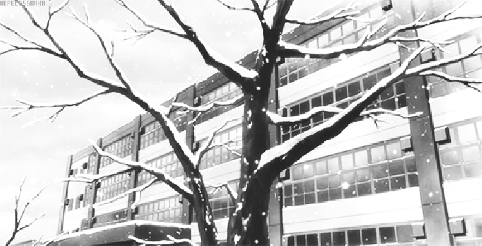 大树 冬眠 雪花 大楼