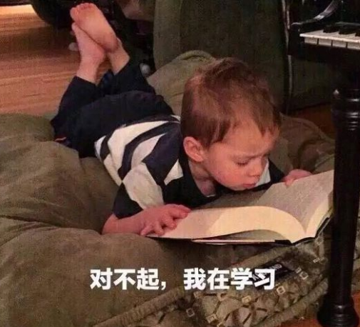 魔性 沙雕 文字表情包 搞怪 逗
