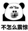 暴漫 文字表情包 不怎么震惊 搞笑 逗 沙雕