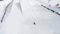 滑雪 翻转 欢呼 厉害了