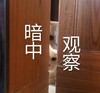 萌宠 猫星人 暗中观察 偷偷看 呆萌 可爱