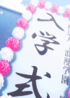 花瓣 天空 入学式