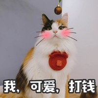 萌宠 猫星人 我可爱 打钱 呆萌 可爱