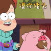 猪 动物 摸你猪头 soogif soogif出品 猪