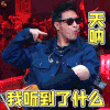 中国新说唱 潘玮柏 天呐我听到了什么 蒙圈 soogif soogif出品