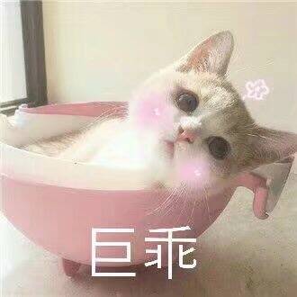 猫咪 可爱 洗澡 躺着 大眼睛 巨乖