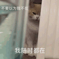 萌宠 猫星人 不要以为我不在 我随时都在 暗中观察 搞怪 逗