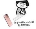 金管长 手机  老子一iphone6s砸了 你的狗头