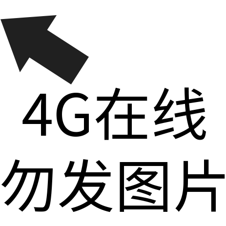 狀態(tài)表情 4G在線(xiàn)勿發(fā)圖片