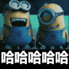 小黄人 可爱 大笑 萌萌哒 哈哈哈哈