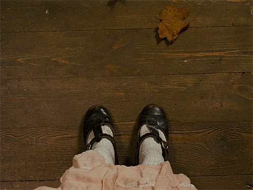 秋天 落叶 小女孩 皮鞋