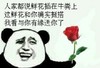 熊猫人 玫瑰花 人家都说鲜花插在牛粪上 这鲜花和你确实挺搭 我看与你有缘送你了