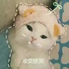 萌宠 猫星人 难受想哭 委屈 呆萌 可爱