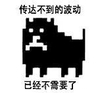 传达不到的波动已经不需要了 狗狗 黑色 图片
