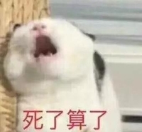 猫咪 喵星人 死了算了 张大嘴巴