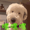 嘿嘿嘿 开心