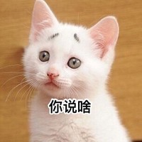 猫咪 你说啥 猫咪 眼睛