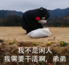 杂图 搞笑 可爱 逗 萌