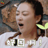 妻子的浪漫旅行 旅行 应采儿 好困啊 搞怪 soogif soogif出品
