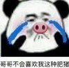 熊猫头 文字表情包 哥哥不会喜欢我这种肥猪 搞笑 沙雕 魔性