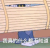 不知道 猫和老鼠 搞笑 可爱
