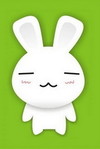 兔子 萌 动物 开心 嘿嘿