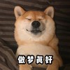 萌宠 汪星人 做梦真好 开心 呆萌 可爱
