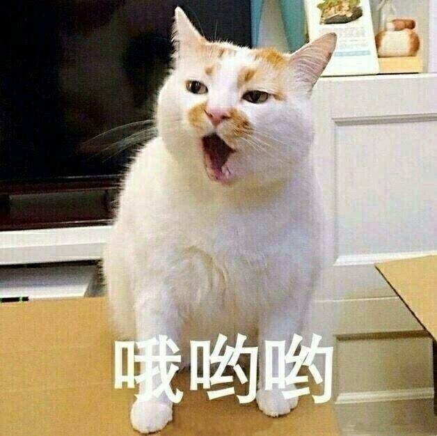 哦呦好叼哦金馆长张嘴熊猫gif动图_动态图_表情包下载_soogif