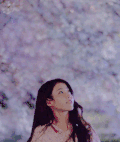 美女 唯美 落花 淑女 气质