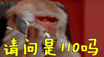 110  猴子 猴 请问是110吗