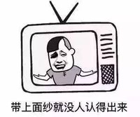 带上面纱没人认得出来 斗图 搞笑 电视机