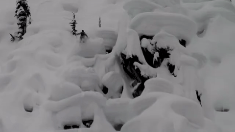 滑雪 大视野 雪谷 户外运动 酷 勇敢 树