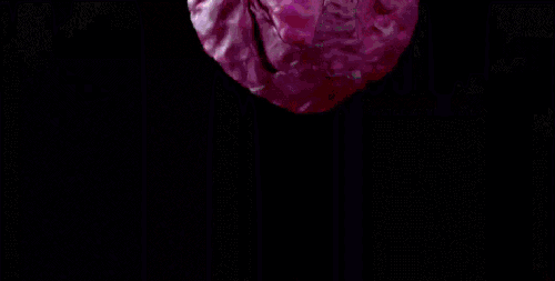 MS电视广告系列 切片 紫包菜 美食 视觉冲击