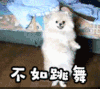 soogif soogif出品 不如跳舞