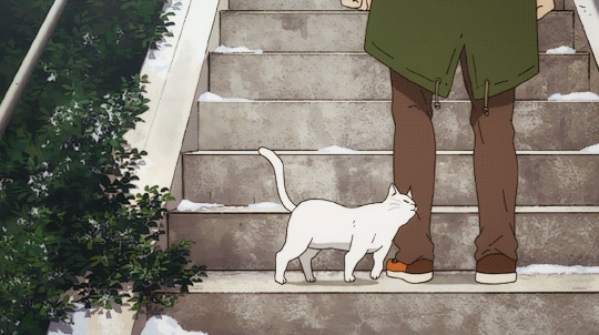 猫咪 台阶 抱起来 好可爱