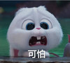 可怕 白兔 对眼 恐惧