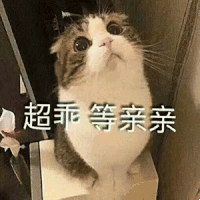 萌宠 喵星人 超乖 等亲亲 呆萌 可爱