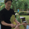 郑元畅 明星 帅哥 演员
