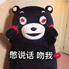 熊猫 脸红 可爱 吻我