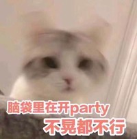 猫咪 摇头 模糊 脑袋里在开party 不晃都不行