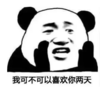 熊猫头 文字表情包 我可不可以喜欢你两天 搞笑 沙雕 逗