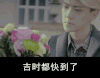 吴世勋  鹿晗 拖走  鲜花