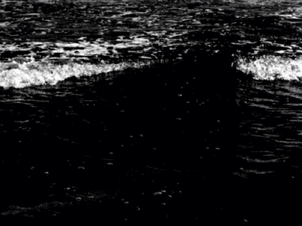 海浪 船 黑白 海洋 ocean nature