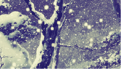 树枝 下雪 松下由树 雪景