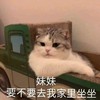 萌宠 猫星人 妹妹 要不要去我家坐坐啊 搞怪 逗